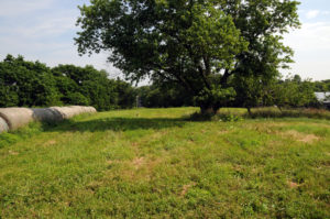 Site of the Michael Arthur farm, Clay County. MO. Photo by Kenneth Mays.
